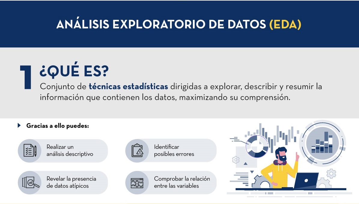 Captura de la infografía "Análisis exploratorio de datos"