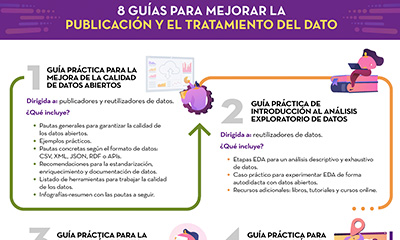 Captura de la infografía "8 guías para mejorar la publicación y el tratamiento del dato""