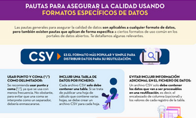 Captura de la infografía "Pautas para asegurar la calidad usando formatos específicos de datos”"